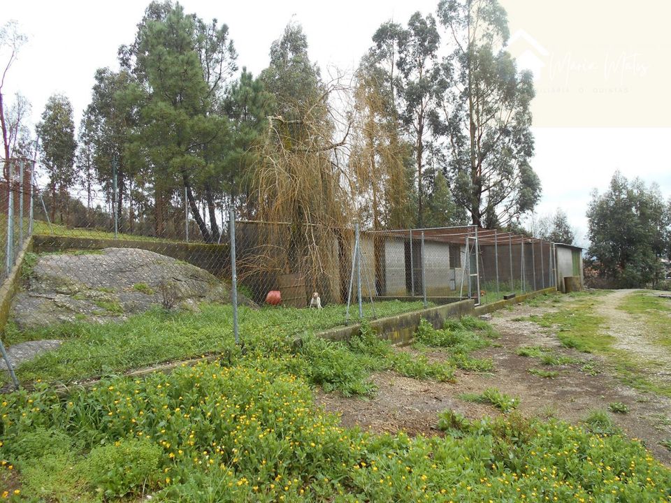 Helårsgrund i Mangualde, Viseu - foto 1
