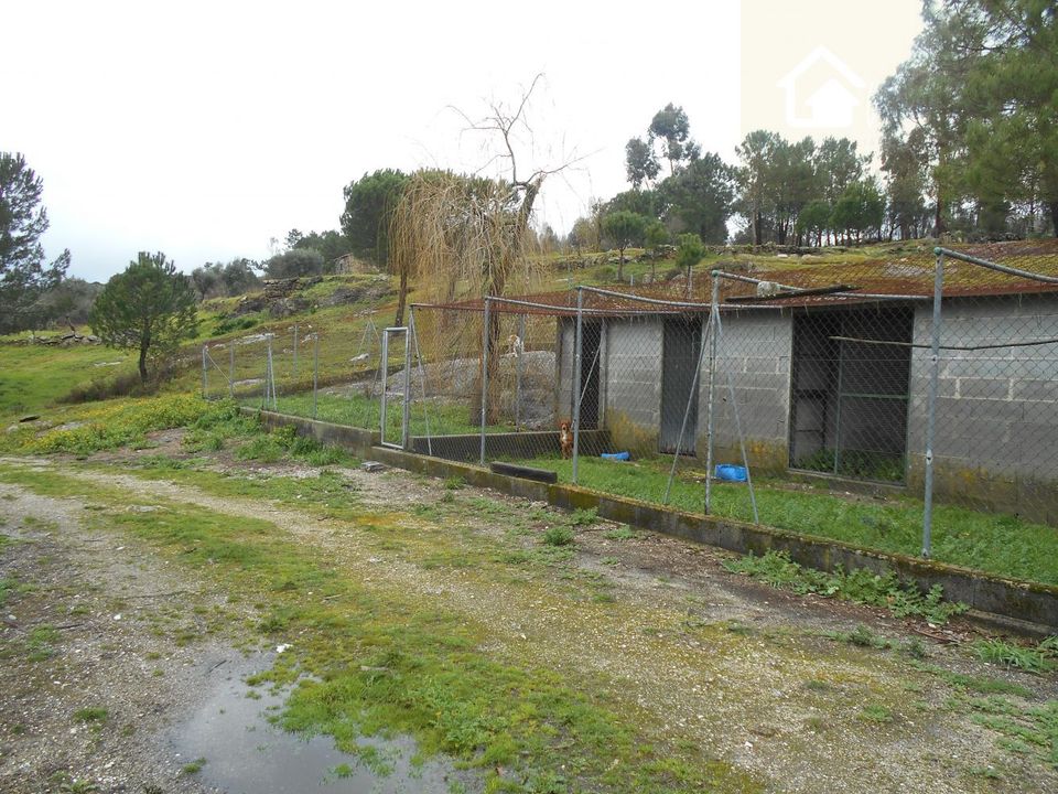 Helårsgrund i Mangualde, Viseu - foto 5