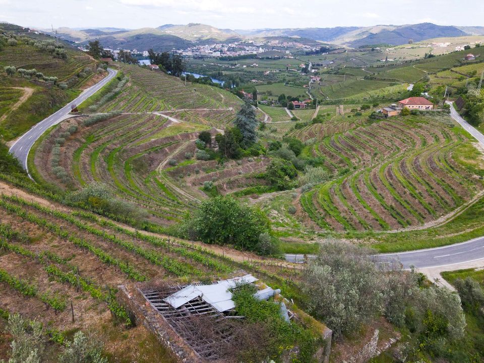 Tomt i Lamego, Viseu - bilde 1