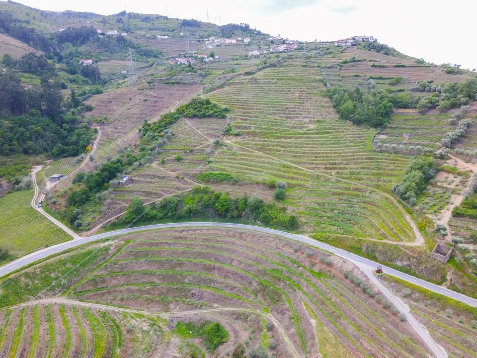 Tomt i Lamego, Viseu - bilde 2