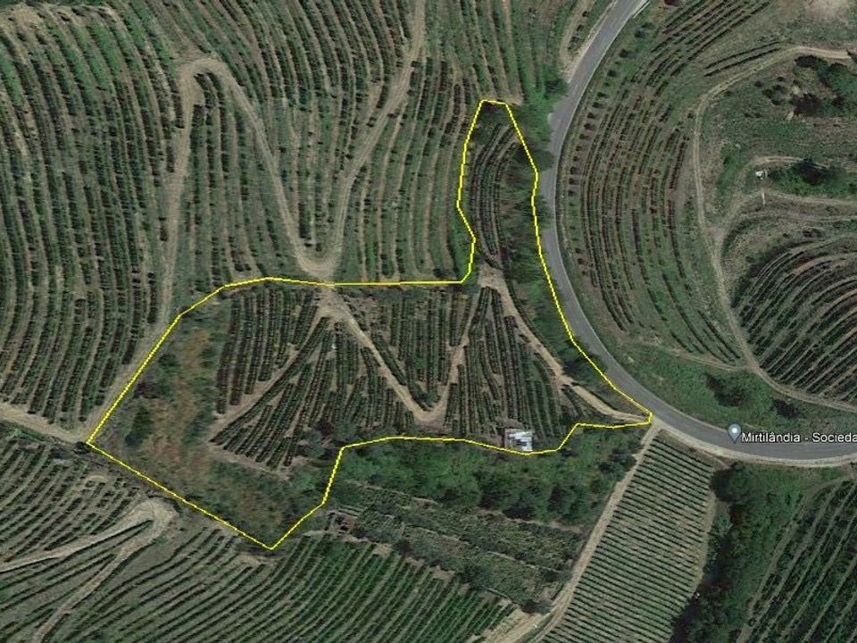 Tomt i Lamego, Viseu - bilde 3