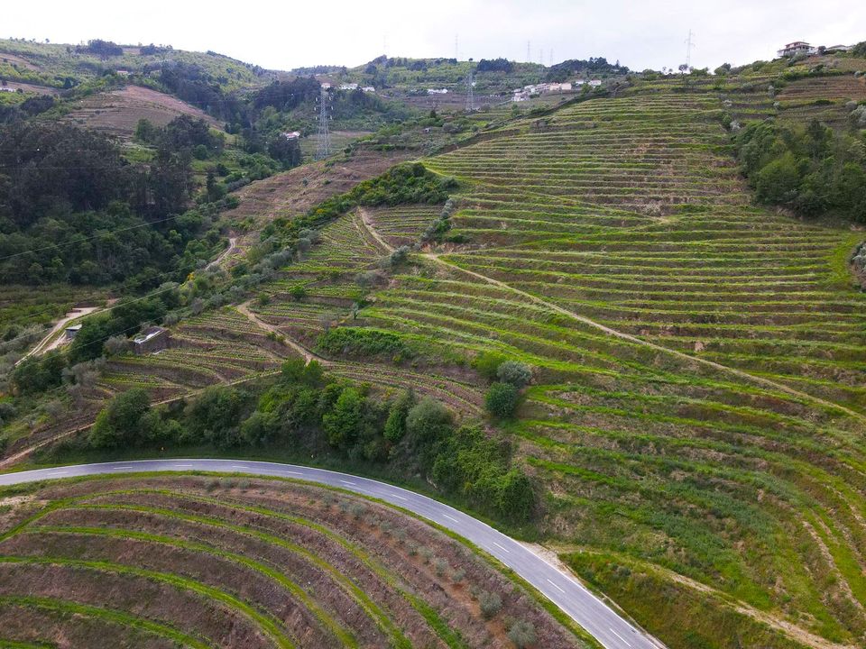 Tomt i Lamego, Viseu - bilde 4