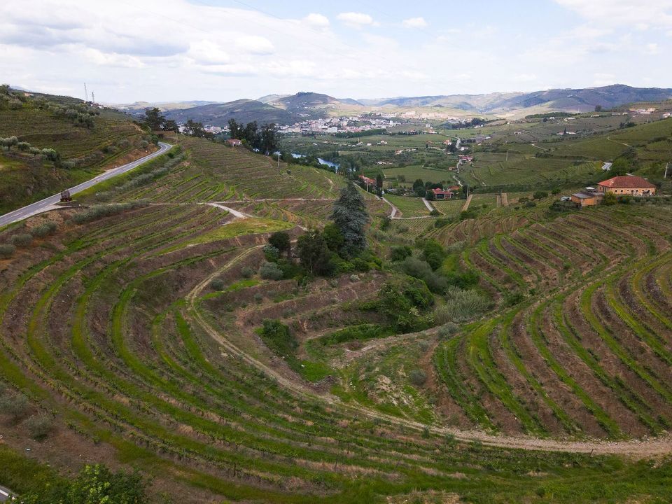 Tomt i Lamego, Viseu - bilde 5
