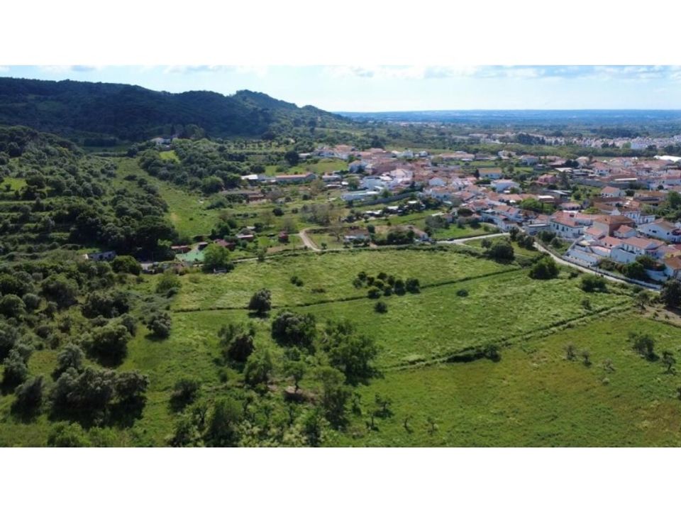 Farm i Quinta do Anjo, Setubal - foto 1