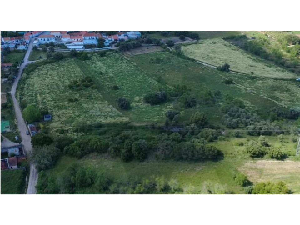 Farm i Quinta do Anjo, Setubal - foto 2