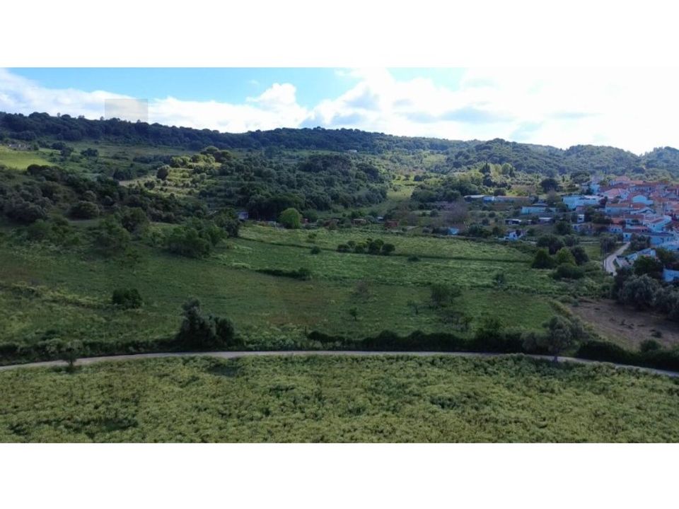 Farm i Quinta do Anjo, Setubal - foto 3