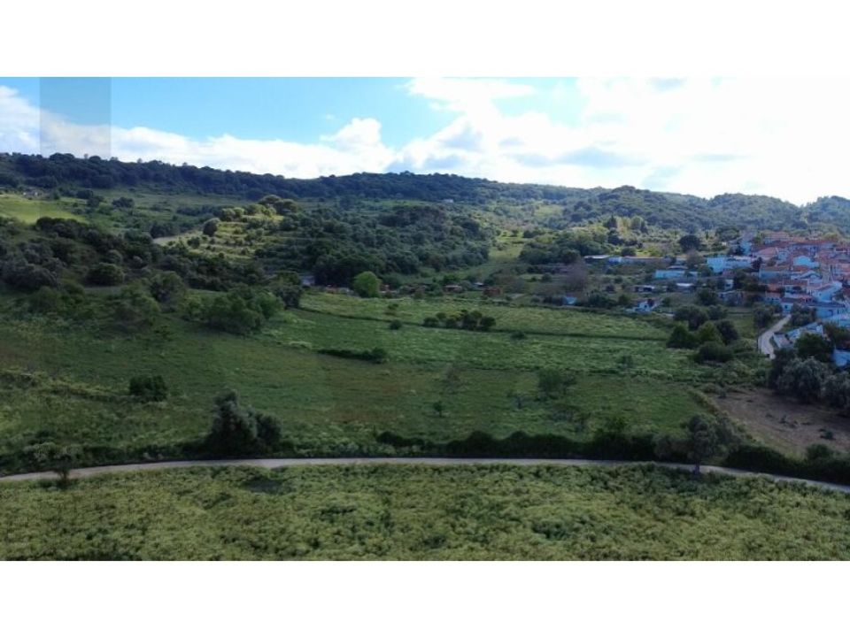 Farm i Quinta do Anjo, Setubal - foto 4