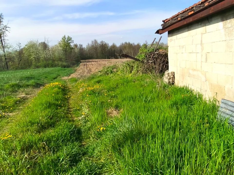 Villa i Cellarengo, Asti - foto 4