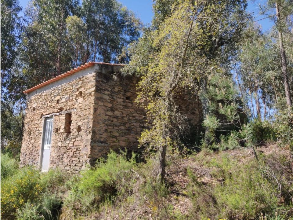 Helårsgrund i Sardoal, Santarem - foto 1