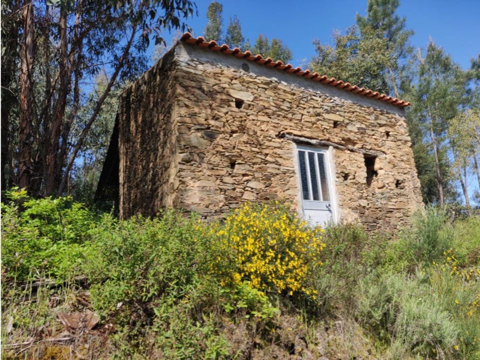 Helårsgrund i Sardoal, Santarem - foto 2
