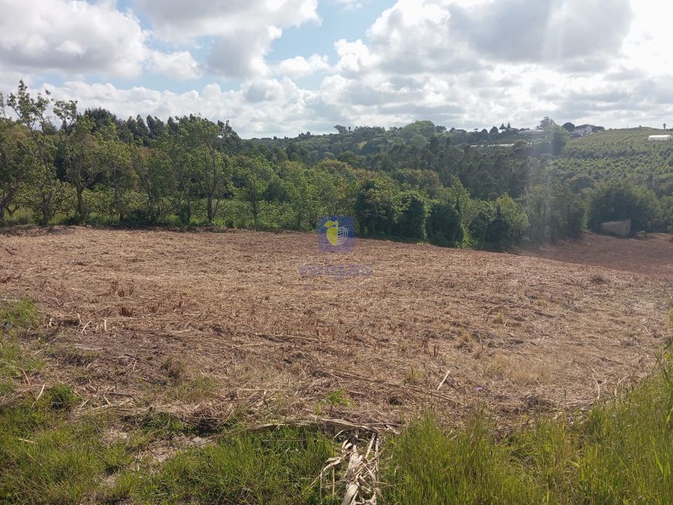 Helårsgrund i Bombarral, Leiria - foto 3