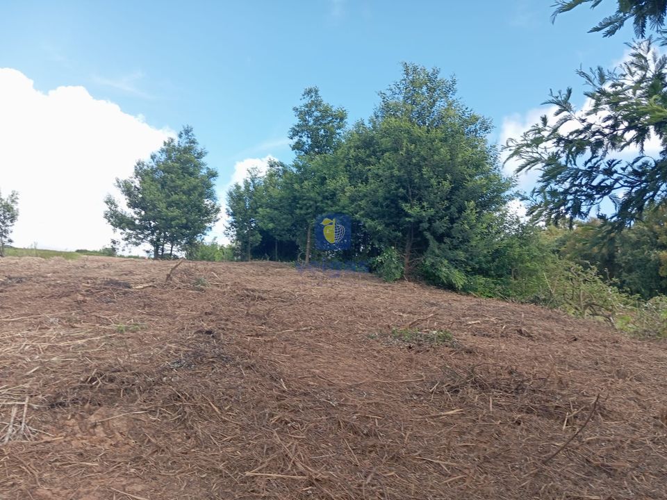Helårsgrund i Bombarral, Leiria - foto 4