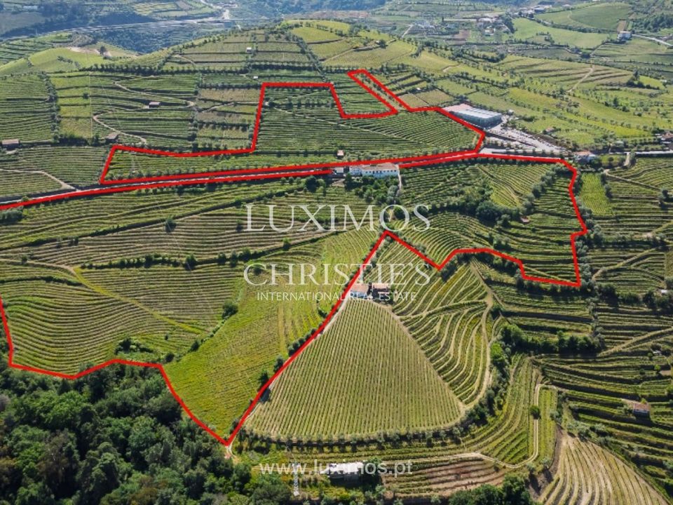 Farm i Lamego, Viseu - foto 1