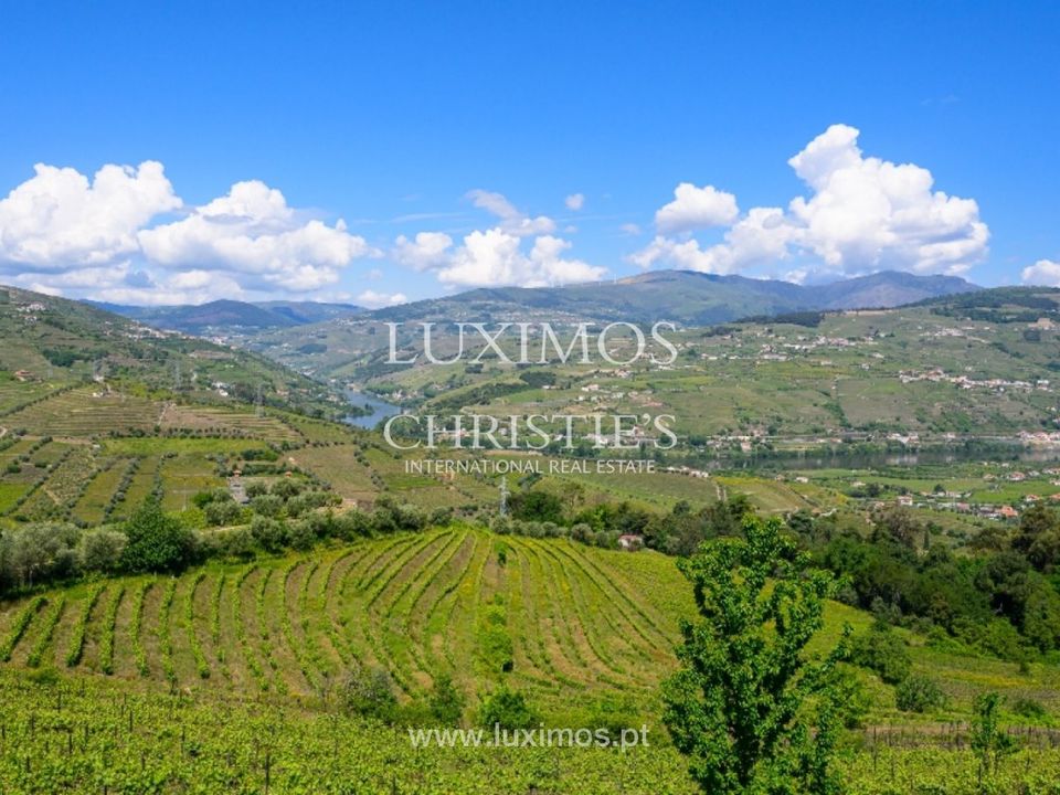 Farm i Lamego, Viseu - foto 2