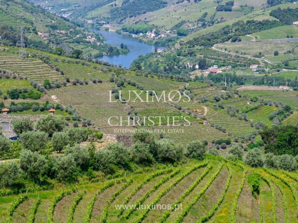 Farm i Lamego, Viseu - foto 3
