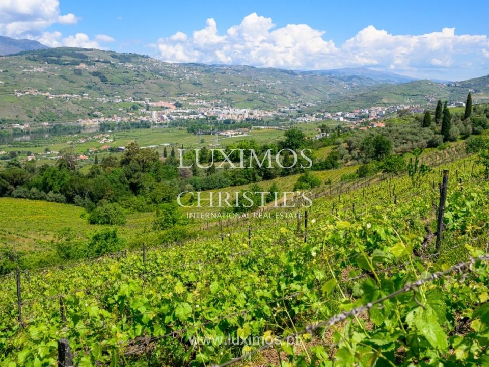 Farm i Lamego, Viseu - foto 4