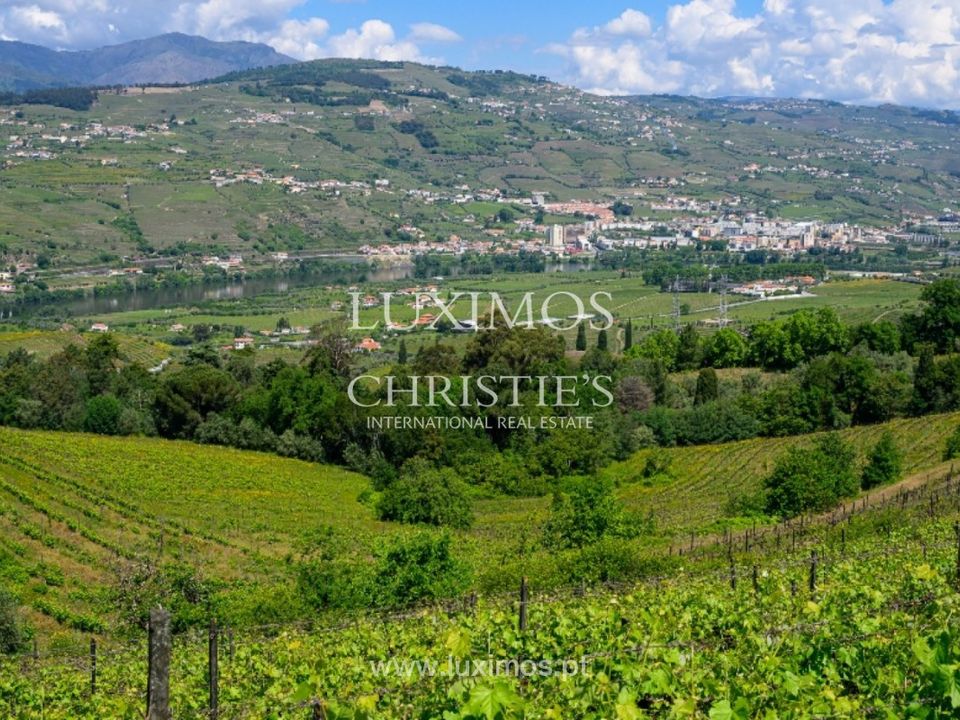 Farm i Lamego, Viseu - foto 5