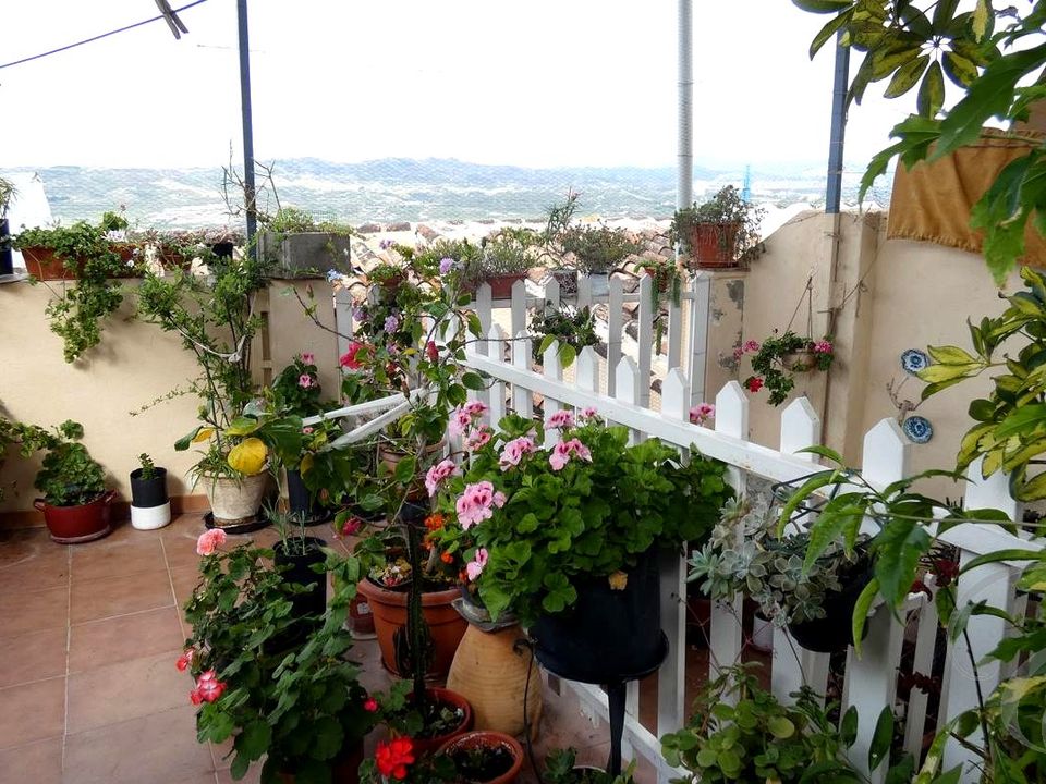 Byhus i Velez Malaga, Malaga - foto 1