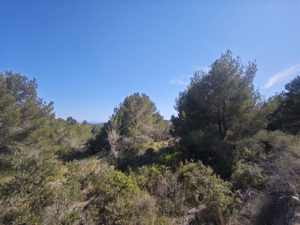Tomt i Teulada, Alicante - bilde 3