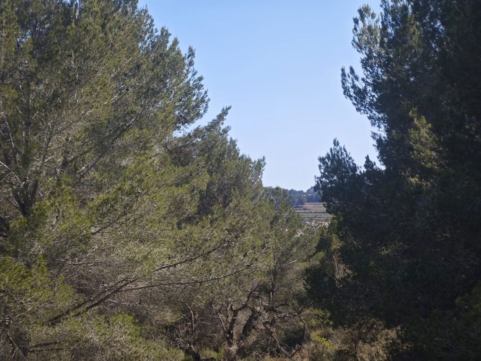 Tomt i Teulada, Alicante - bilde 4