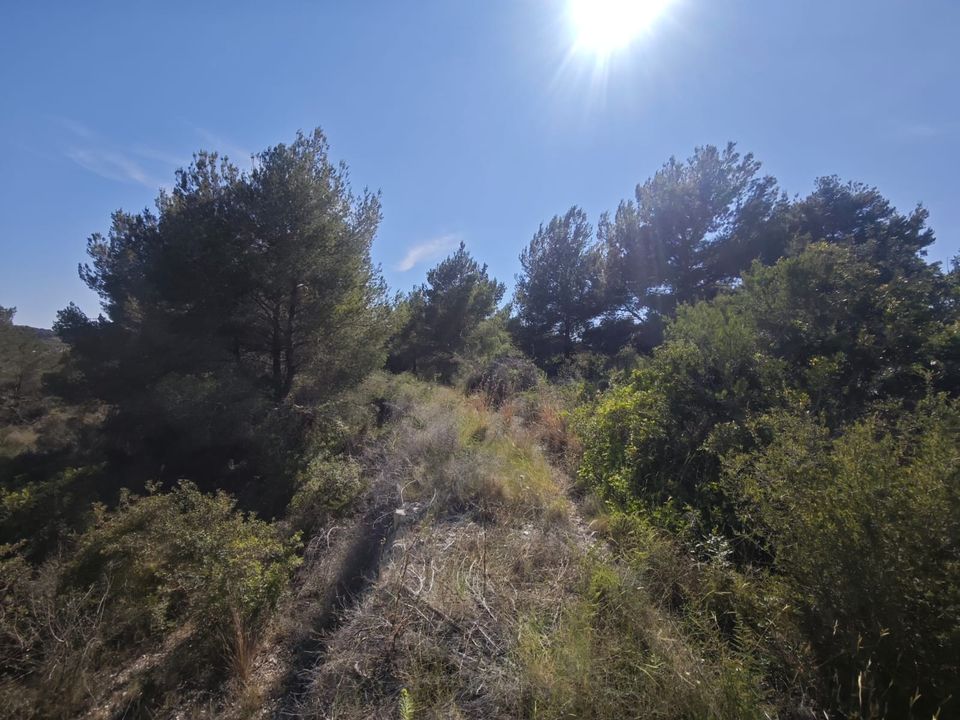 Tomt i Teulada, Alicante - bilde 5