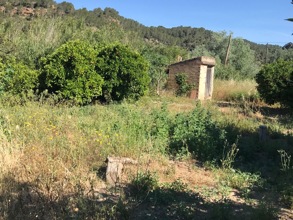 Finca i Benifallet, Tarragona - foto 3