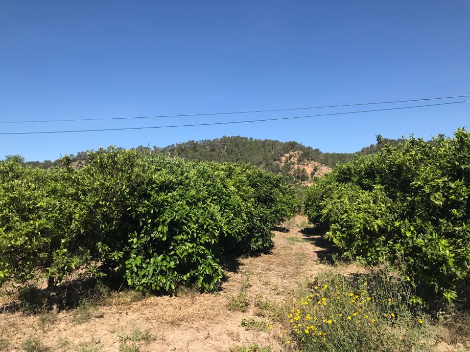 Finca i Benifallet, Tarragona - foto 1