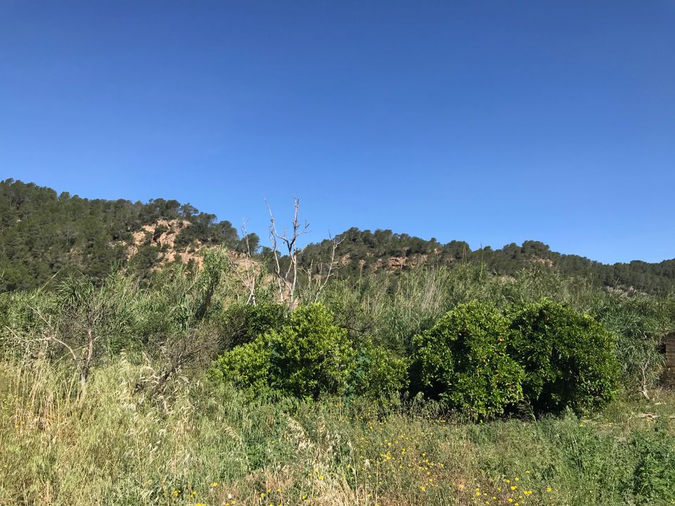 Finca i Benifallet, Tarragona - foto 4
