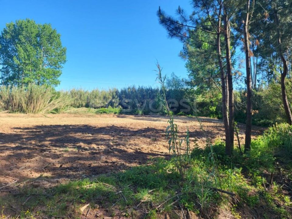 Helårsgrund i Valado dos Frades, Leiria - foto 1