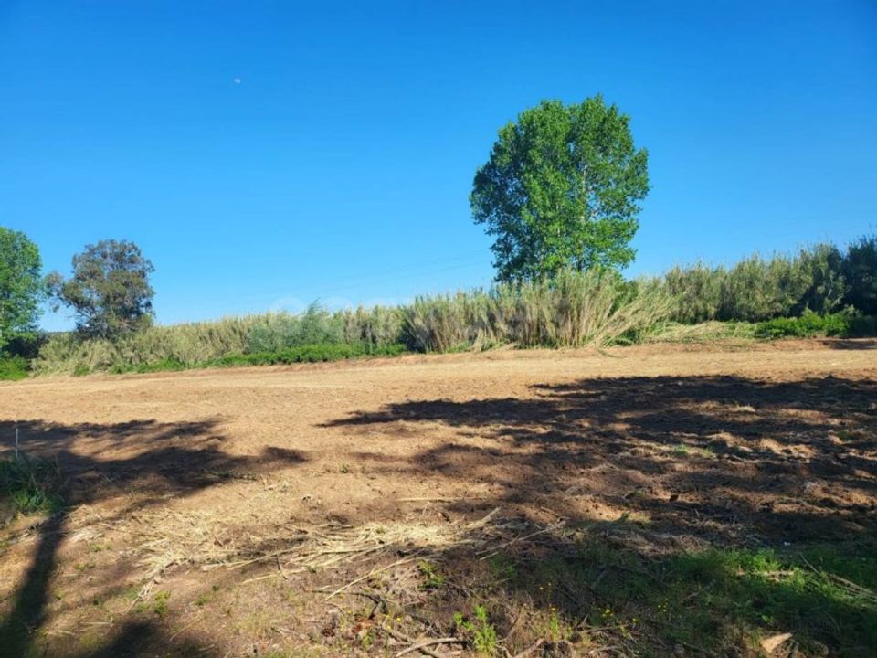 Helårsgrund i Valado dos Frades, Leiria - foto 2