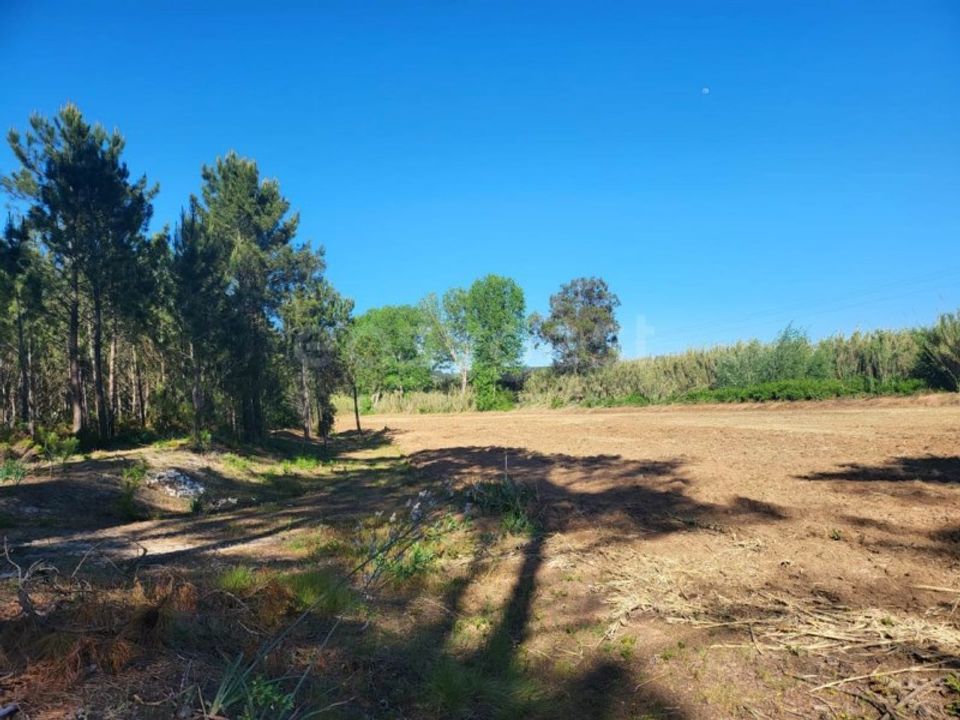 Helårsgrund i Valado dos Frades, Leiria - foto 3