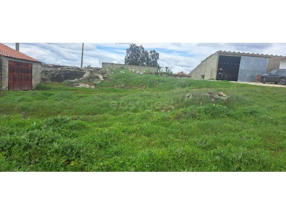 Villa i Torre de Moncorvo, Braganca - foto 5