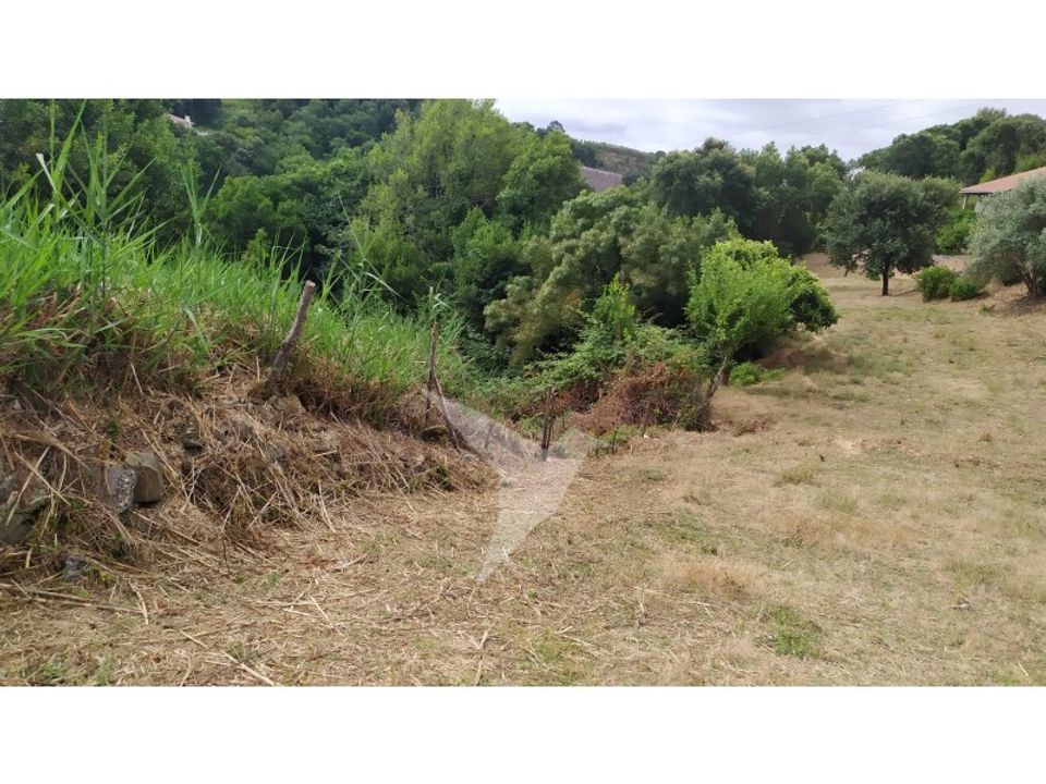 Helårsgrund i Alcobaca, Leiria - foto 2
