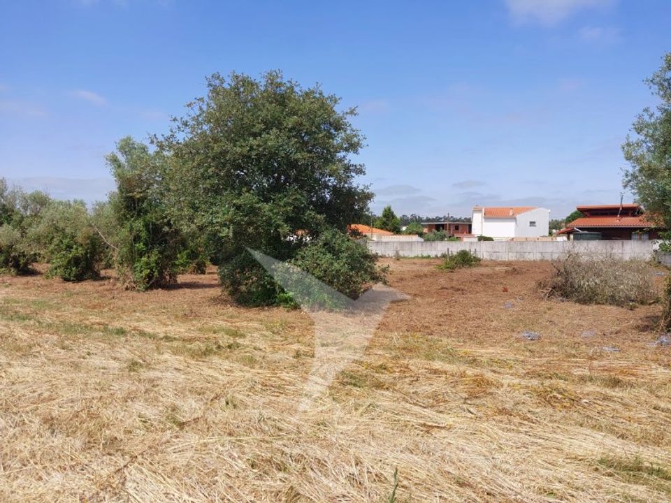 Helårsgrund i Aljubarrota, Leiria - foto 1