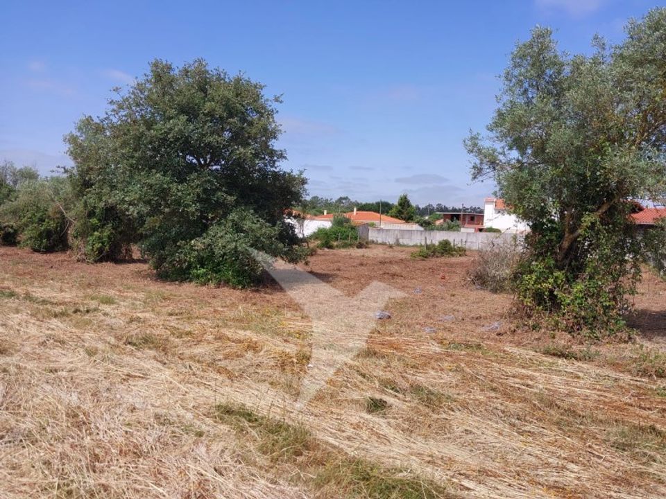 Helårsgrund i Aljubarrota, Leiria - foto 2