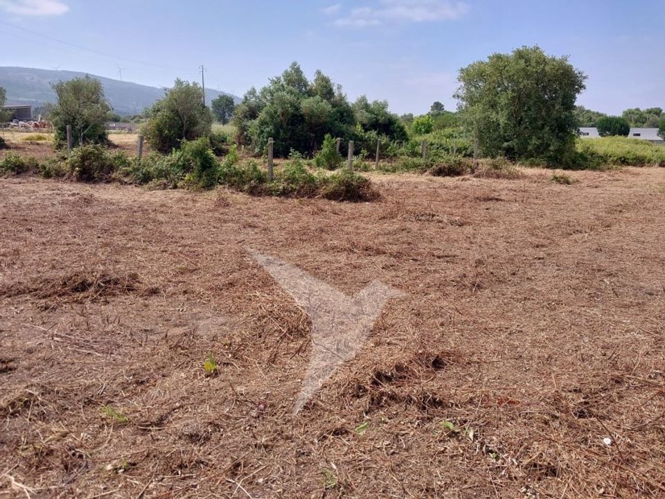 Helårsgrund i Aljubarrota, Leiria - foto 5