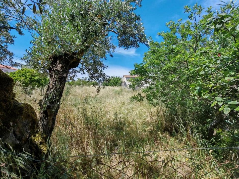 Helårsgrund i Tomar, Santarem - foto 1