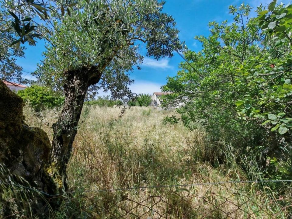 Helårsgrund i Tomar, Santarem - foto 2