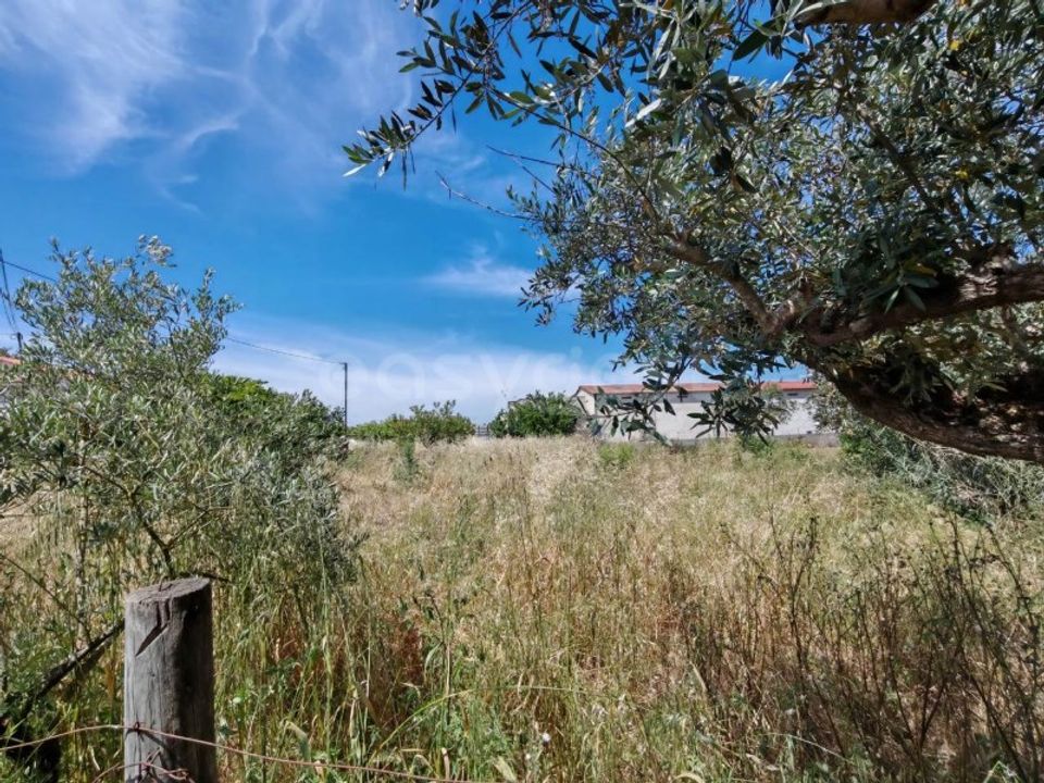 Helårsgrund i Tomar, Santarem - foto 3