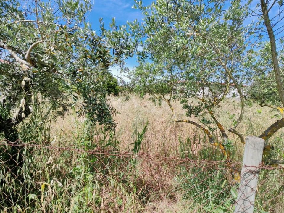Helårsgrund i Tomar, Santarem - foto 4