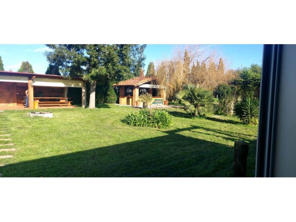 Farm i Angeja, Aveiro - foto 1