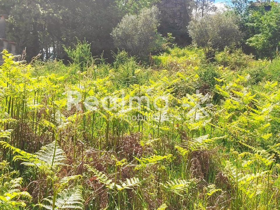 Helårsgrund i Vieira do Minho, Braga - foto 4