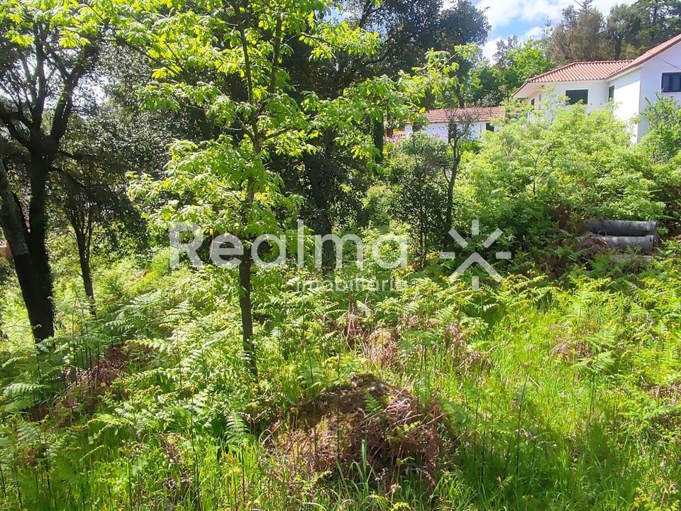 Helårsgrund i Vieira do Minho, Braga - foto 3