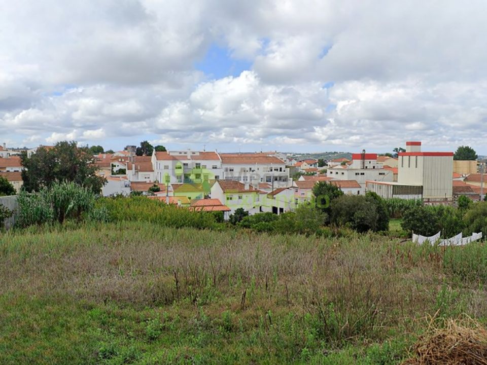 Tomt i Gaeiras, Leiria - bilde 5