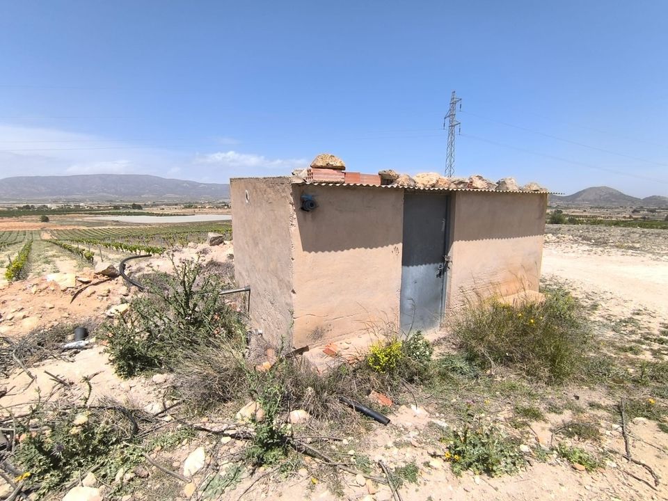 Tomt i Monovar, Alicante - bilde 3