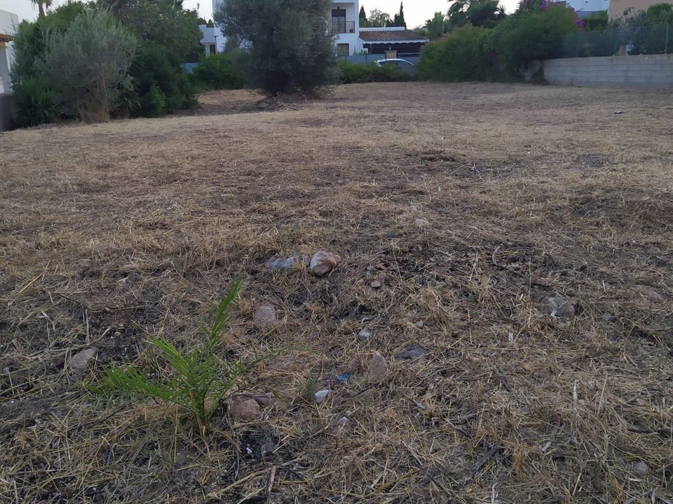 Helårsgrund i Sant Josep de sa Talaia, Ibiza - foto 1