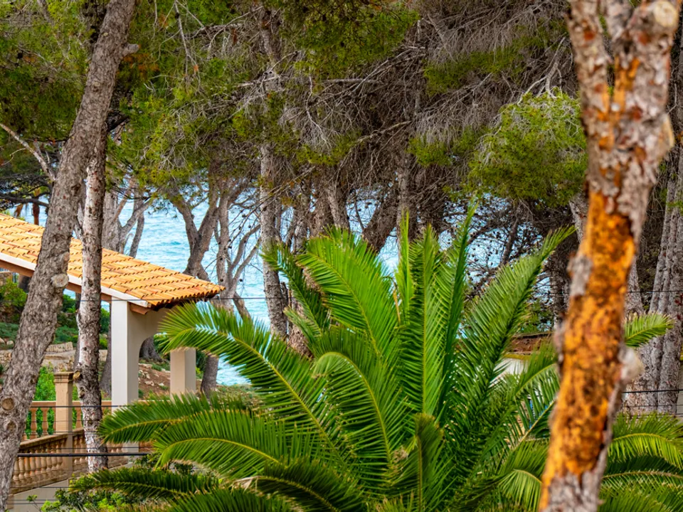 Villa i Costa De La Calma, Mallorca - foto 2