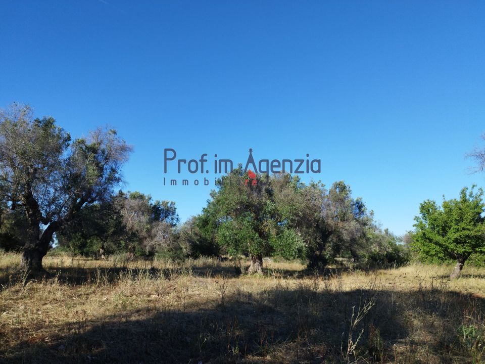 Helårsgrund i Carovigno, Brindisi - foto 4