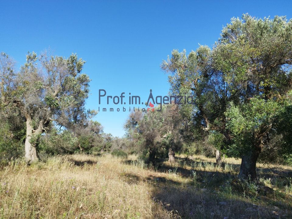 Helårsgrund i Carovigno, Brindisi - foto 5