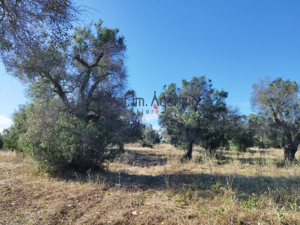 Helårsgrund i Carovigno, Brindisi - foto 2